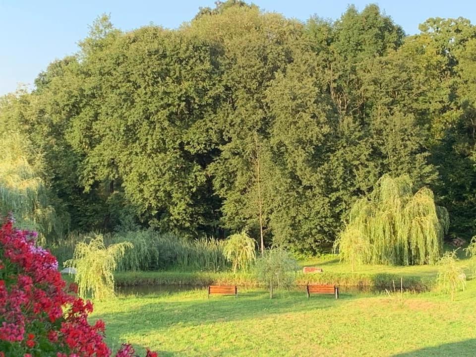 Pensiunea Mara Deseşti Exterior foto