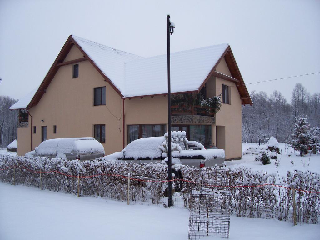Pensiunea Mara Deseşti Exterior foto