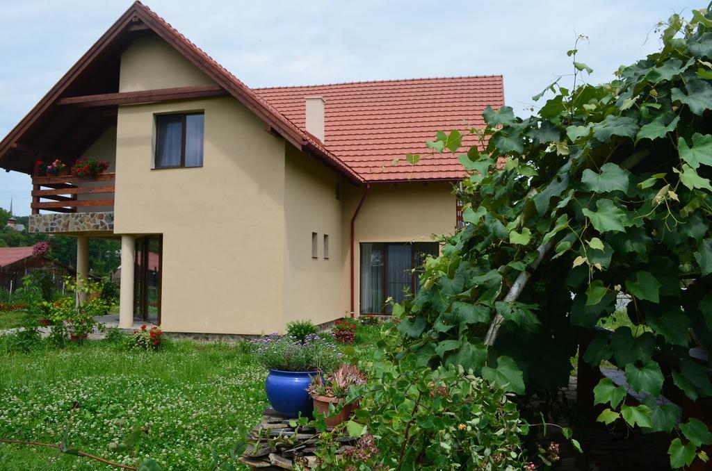 Pensiunea Mara Deseşti Exterior foto