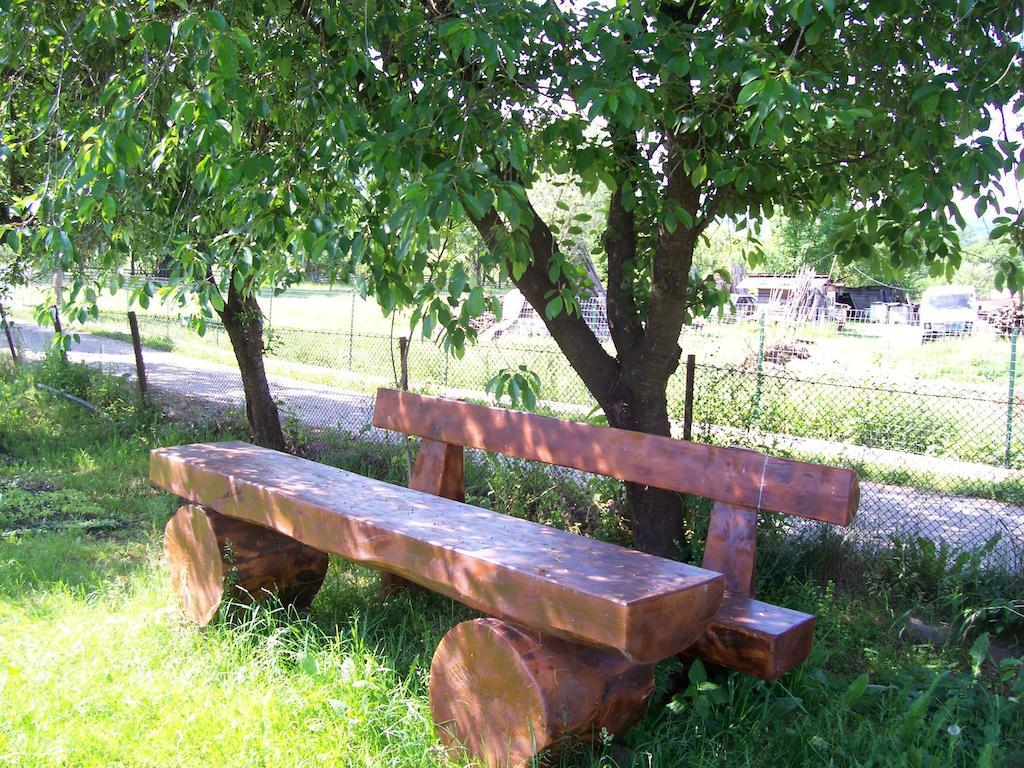 Pensiunea Mara Deseşti Exterior foto