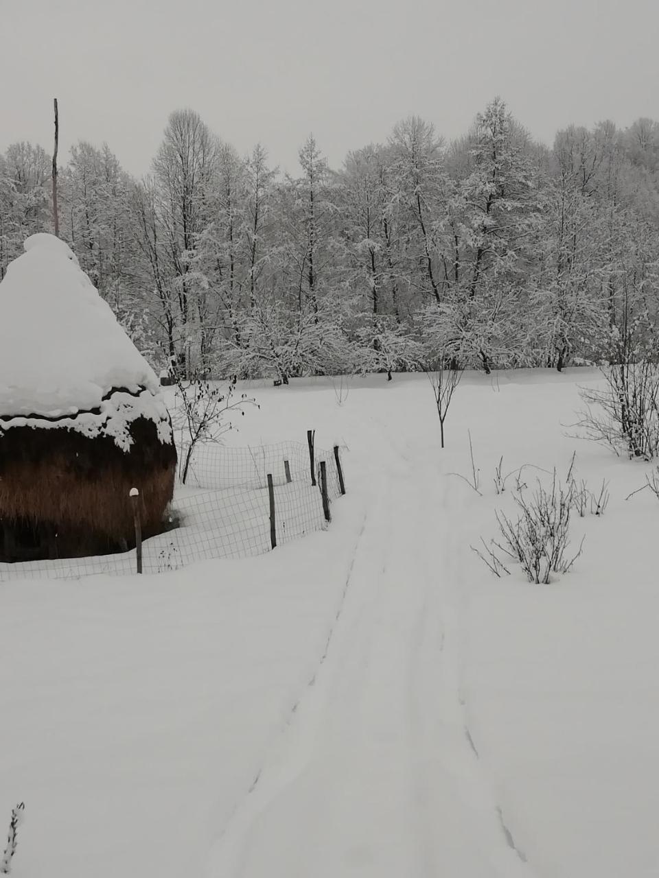 Pensiunea Mara Deseşti Exterior foto