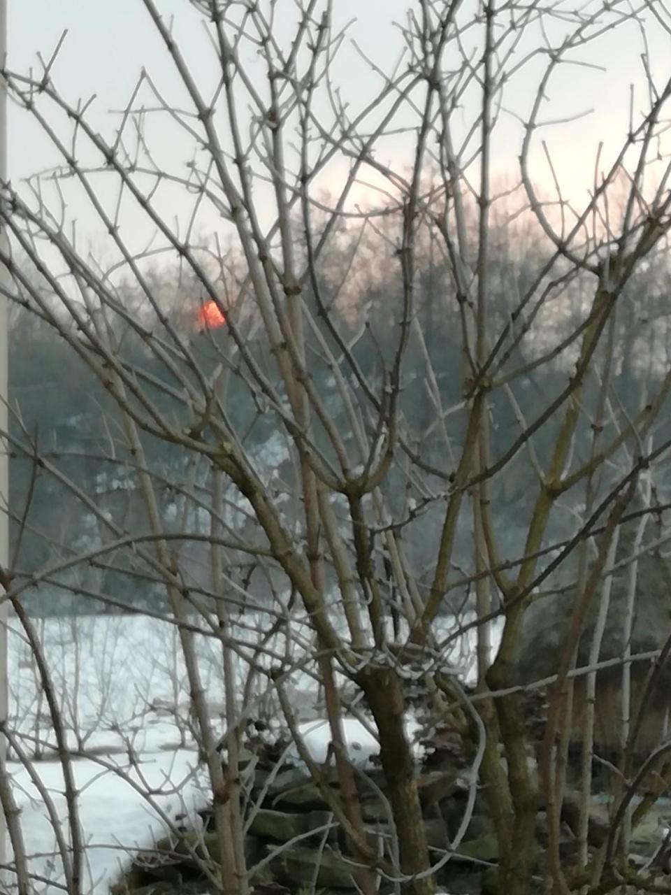 Pensiunea Mara Deseşti Exterior foto